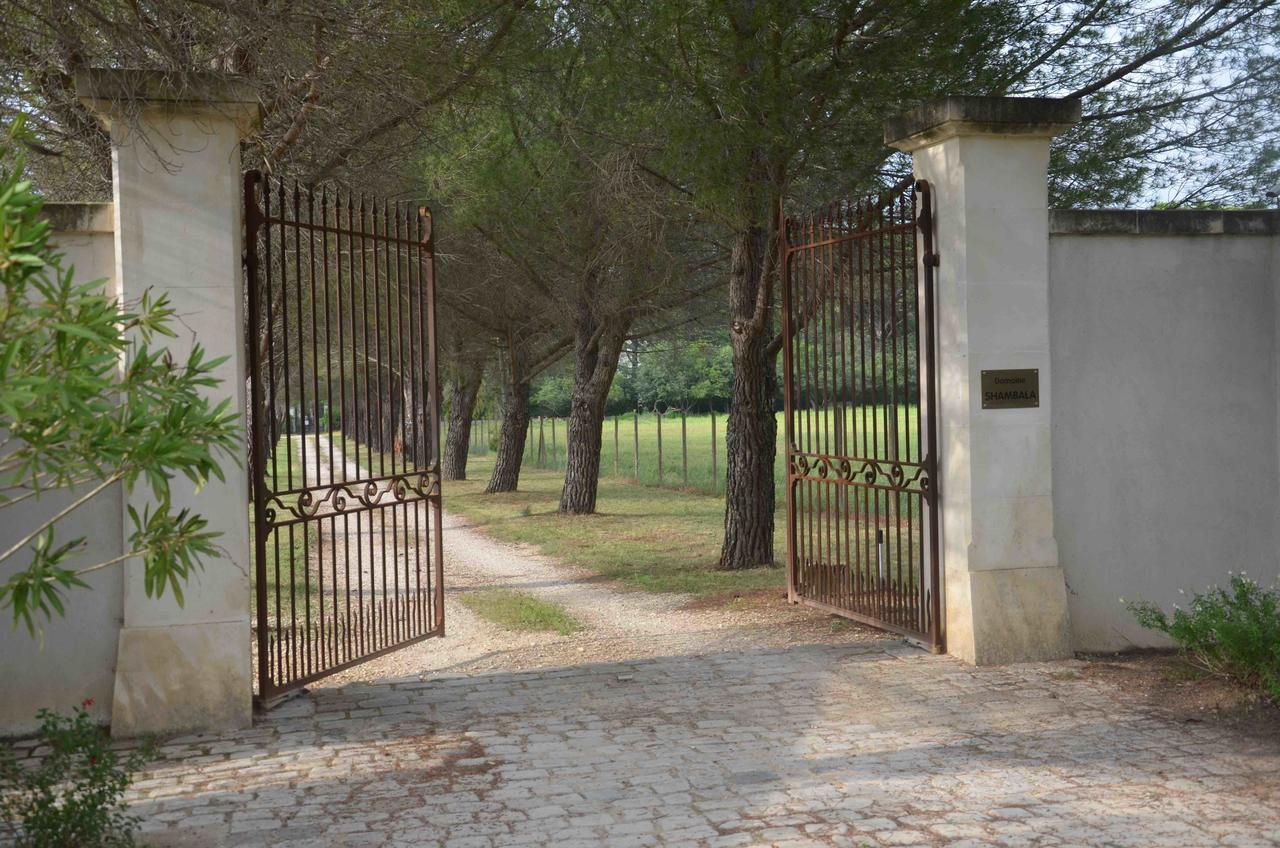 Velaux Domaine Shambala - Maison D'Hote En Provence - Piscine Chauffee المظهر الخارجي الصورة
